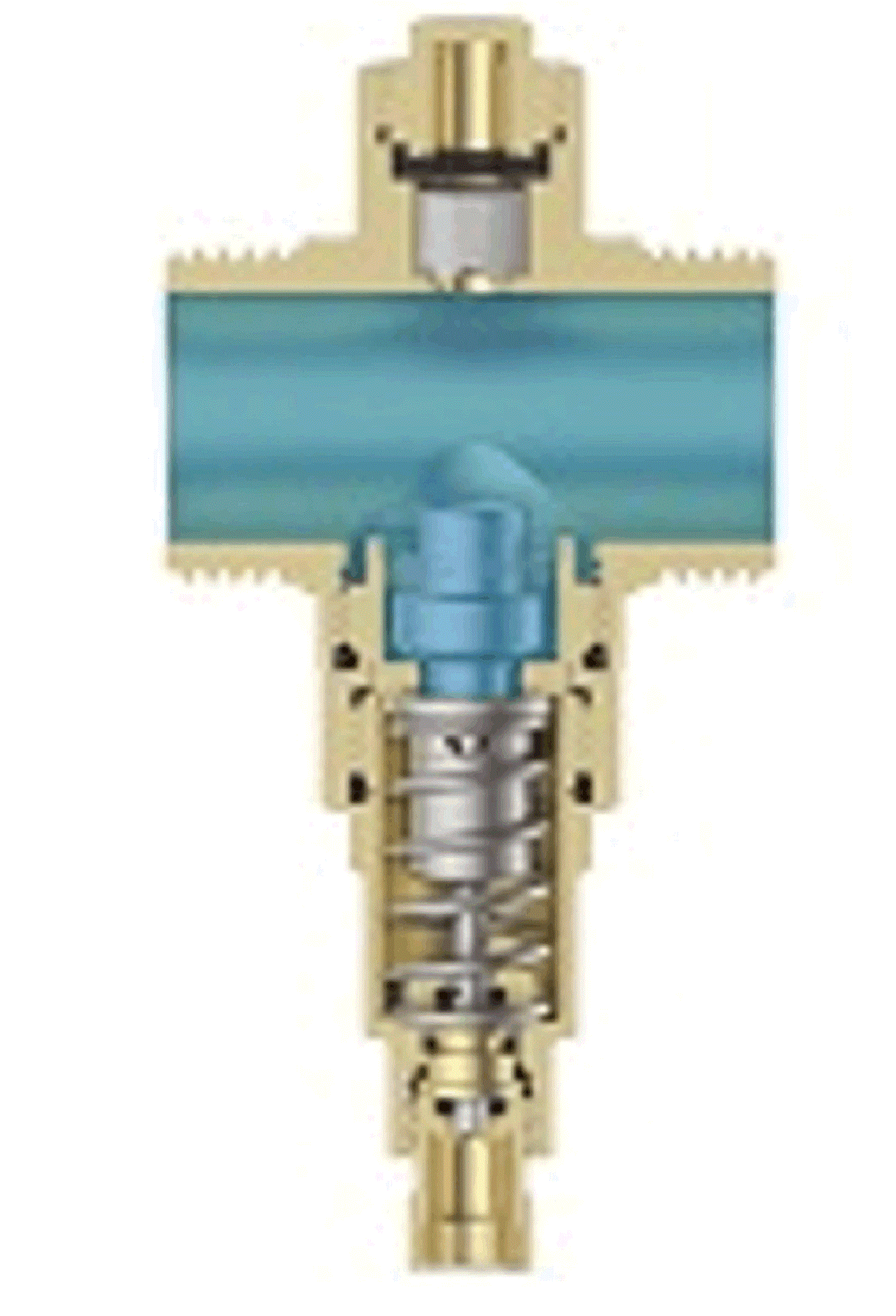 Frostschutzventil Wärmepumpen 1" AG - DN25 Antifreeze Frostschutz
