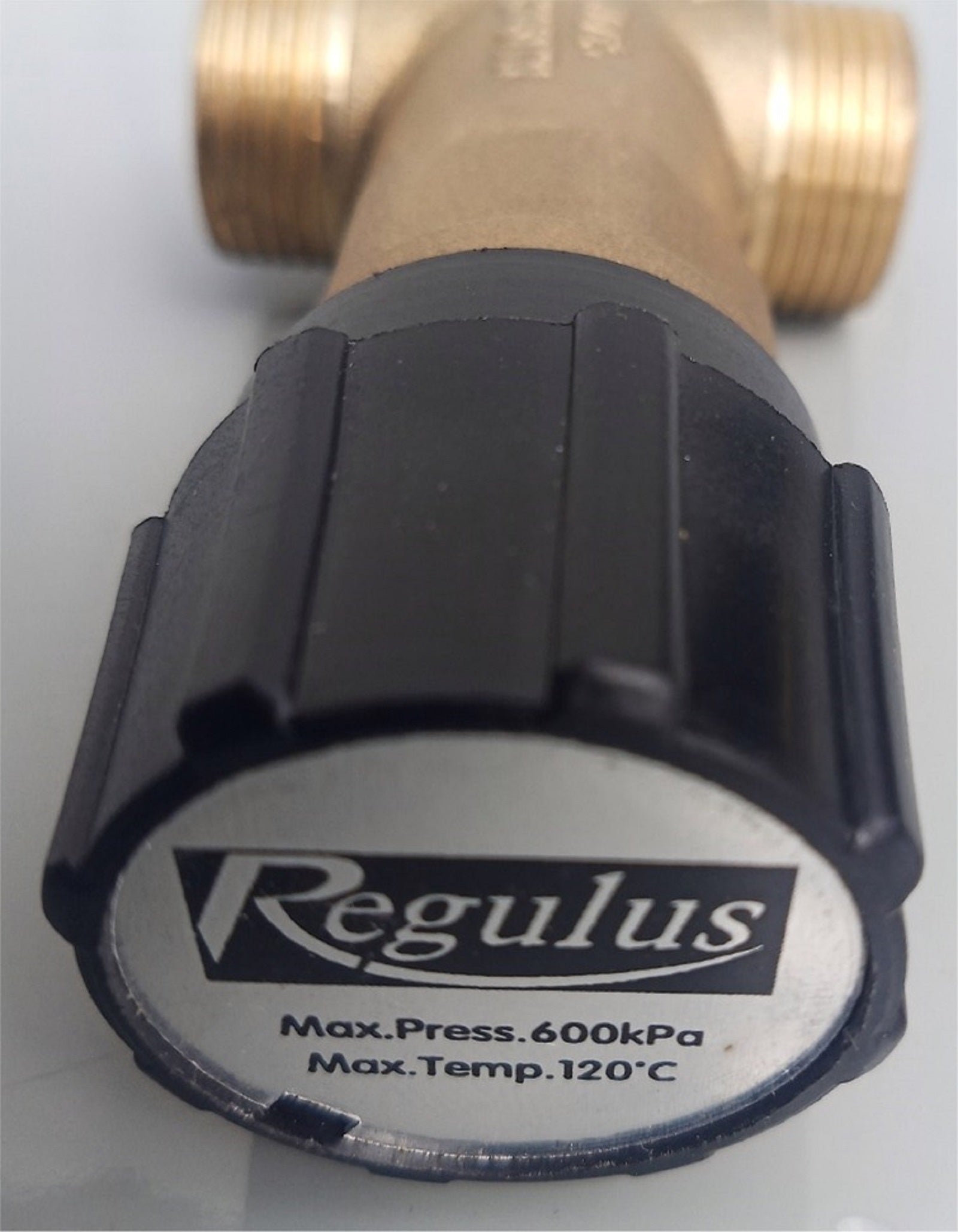 Regulus Doppelte Thermische Ablaufsicherung DBV 1   3/4" AG